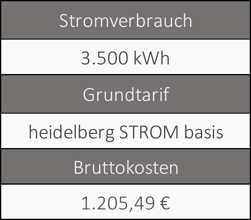 Stromanbieter Heidelberg| Grundversorgung Informationen über den Grundversorger von Heidelberg