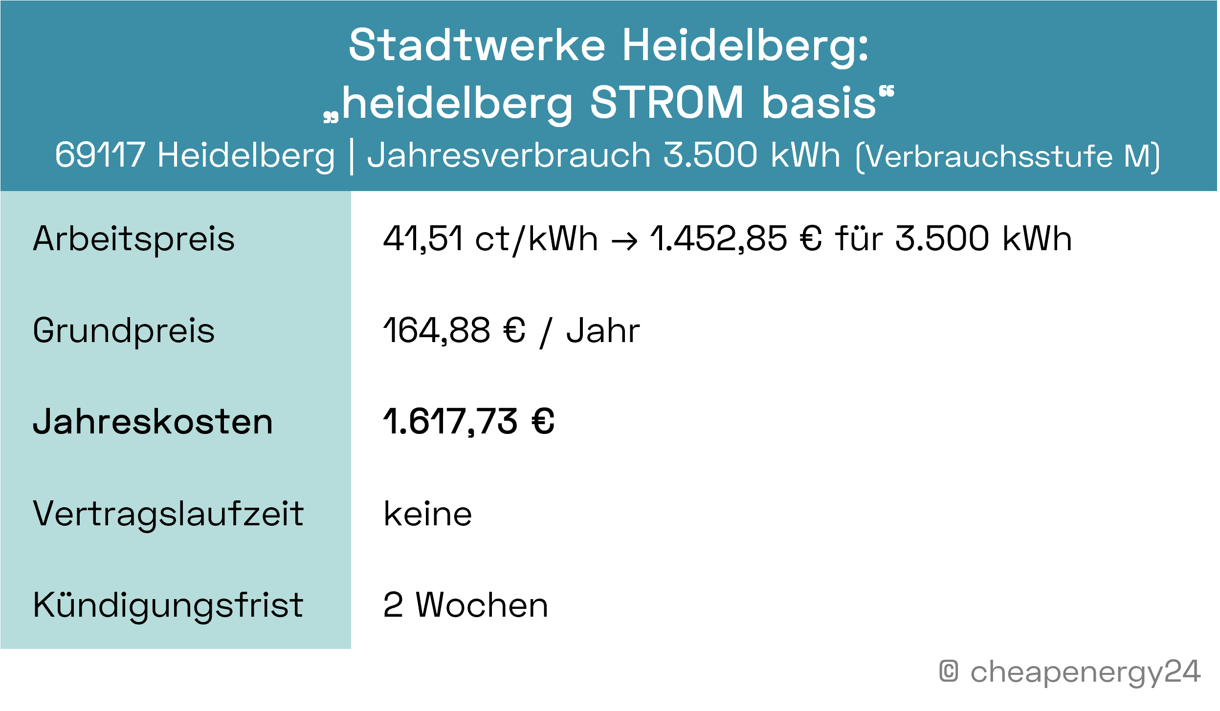 Stromkosten Grundversorgung Stadtwerke Heidelberg